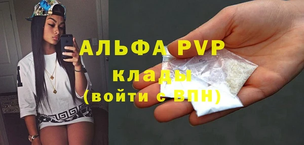 гашик Вязьма