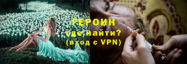 гашик Вязьма
