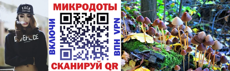 Псилоцибиновые грибы Cubensis  Грозный 